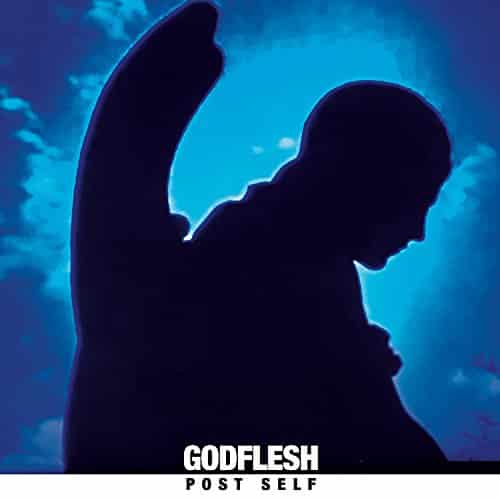 Godflesh Post Self CD Rezension