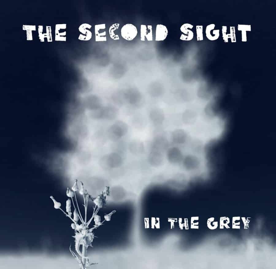 the second sight in the grey cover