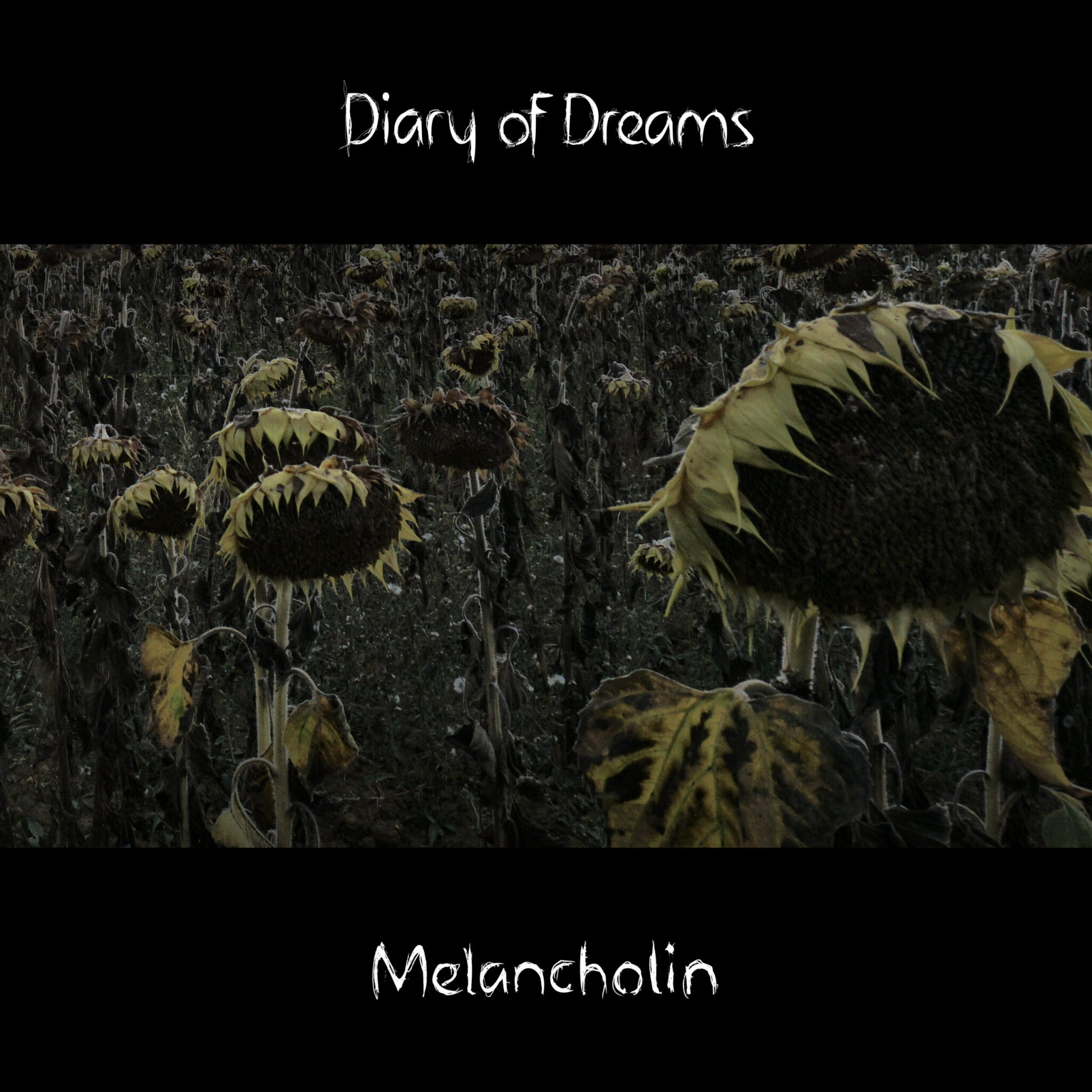 Diary-Of-Dreams-Melancholin-3000-x-3000-scaled.jpg